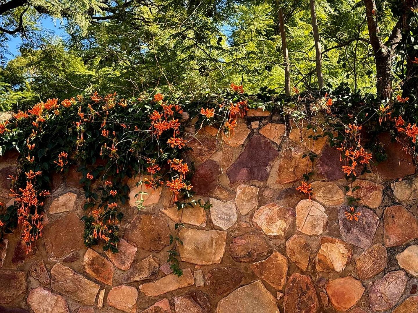 Smallholding for Sale - Gauteng